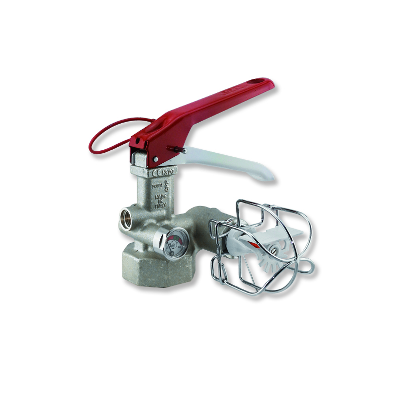 Multi-valve with integrated sprinkler system