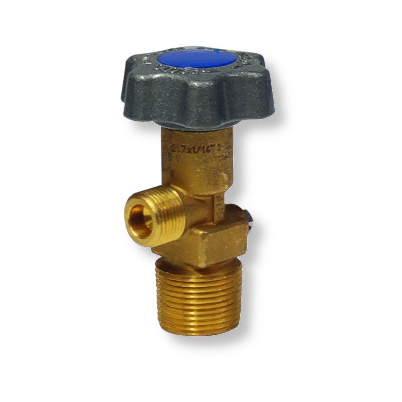 CO2 Standard Valve with 1" NGT connection