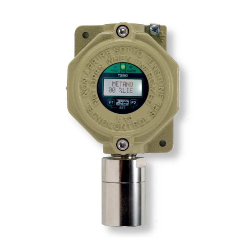 TS593 Industrial gas detector, with display