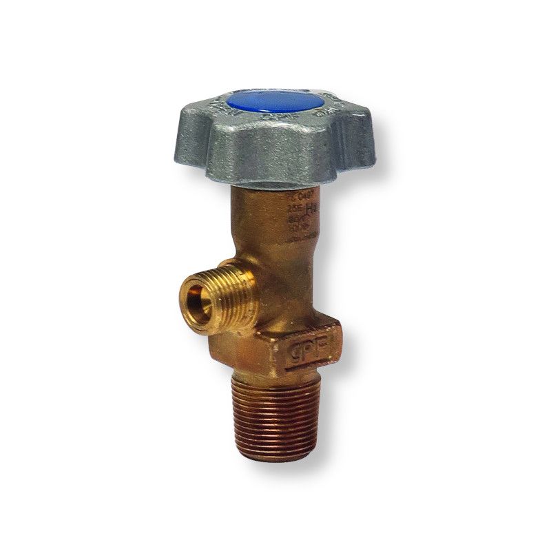 H2 standard valve